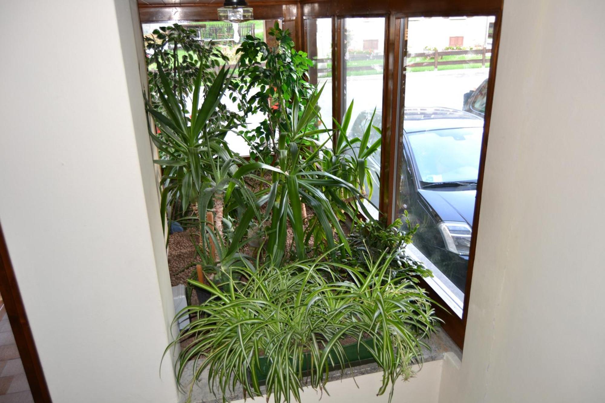 Residence Ables Valfurva Bagian luar foto